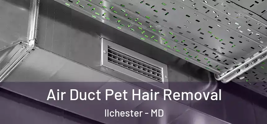Air Duct Pet Hair Removal Ilchester - MD