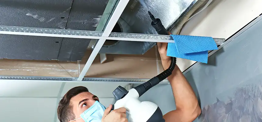 Our Air Duct Rodent Removal Services in Ilchester, MD