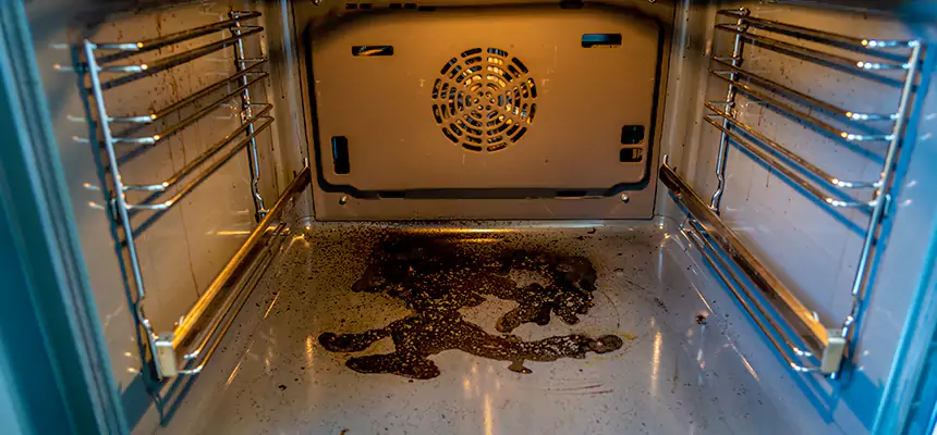 Our Dryer Vent Mold Cleaning Services in Ilchester, MD