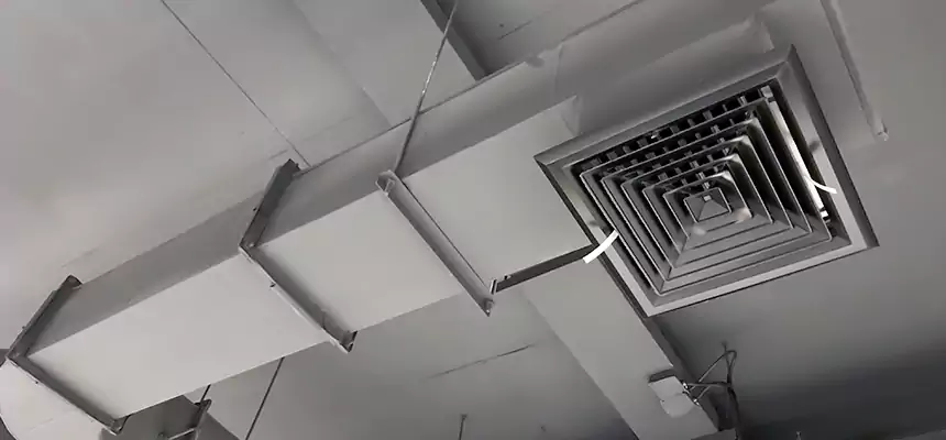 Our Pest Removal From Ducts Services in Ilchester, MD