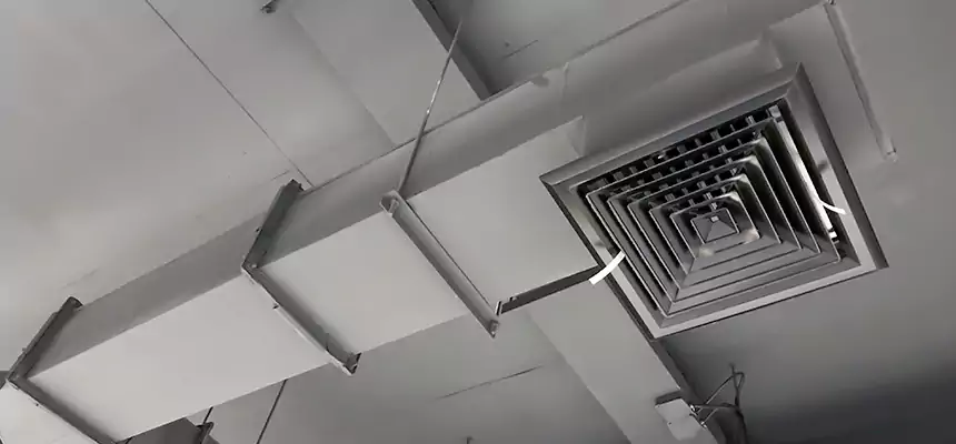 Our Rodent Droppings In Vents Services in Ilchester, MD