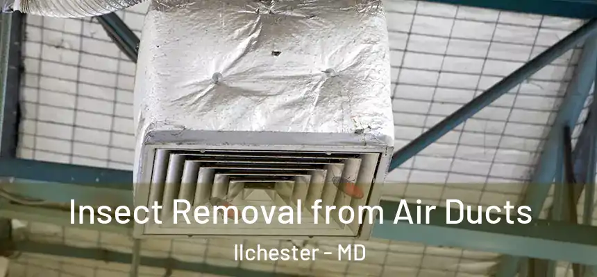 Insect Removal from Air Ducts Ilchester - MD