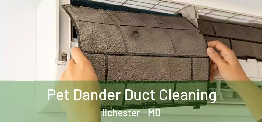 Pet Dander Duct Cleaning Ilchester - MD