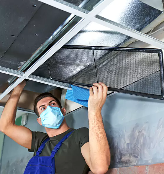 Professional Air Duct Pollen Cleaning in Ilchester, MD