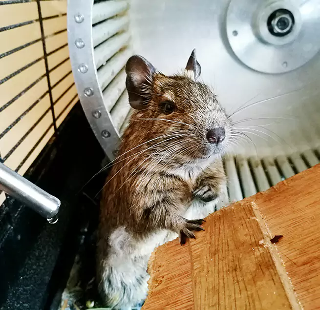 Why Homeowners & Businesses Trust Us Ilchester, MD