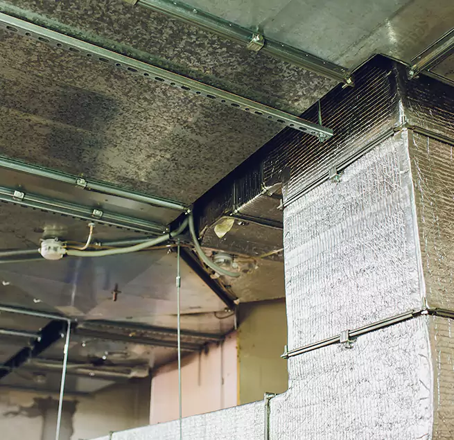 Why Homeowners & Businesses Trust Us in Ilchester, MD?